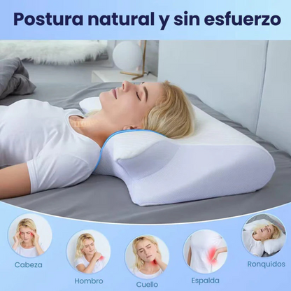 ¡Solo hoy! Hasta 50% OFF en tu nuevo descanso Almohada Ortopedica + Regalos